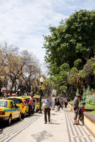 Central Funchal Apartment - Garden - Free Parking & Ac Eksteriør bilde