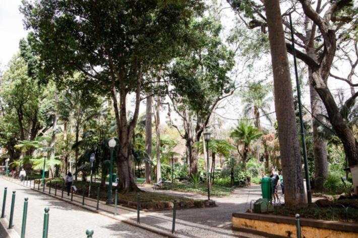 Central Funchal Apartment - Garden - Free Parking & Ac Eksteriør bilde
